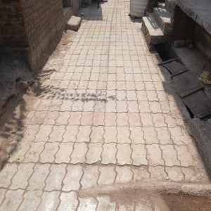 WhatsApp Image 2025-04-30 at 7.42.27 AM